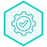 Execution icon